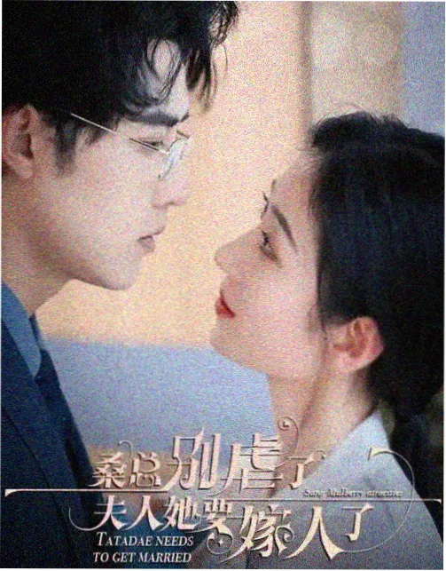 第二个母亲剧集封面图